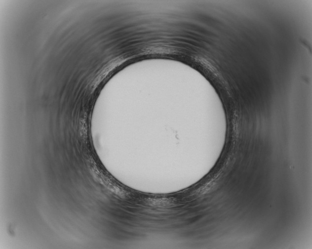 X0000102251025200808221348