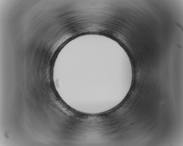 X0000102251026200808221348