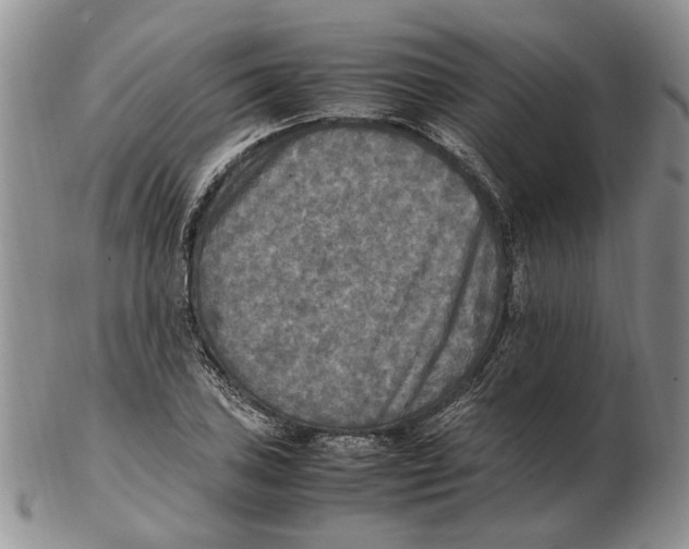 X0000102251027200808221348