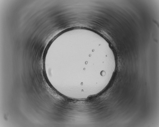 X0000102251028200808221348