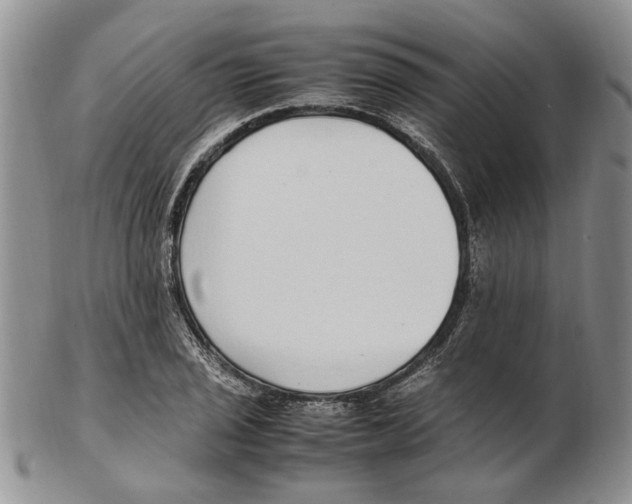 X0000102251029200808221348