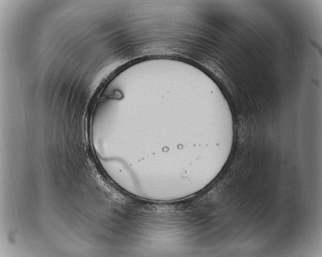 X0000102251030200808221348