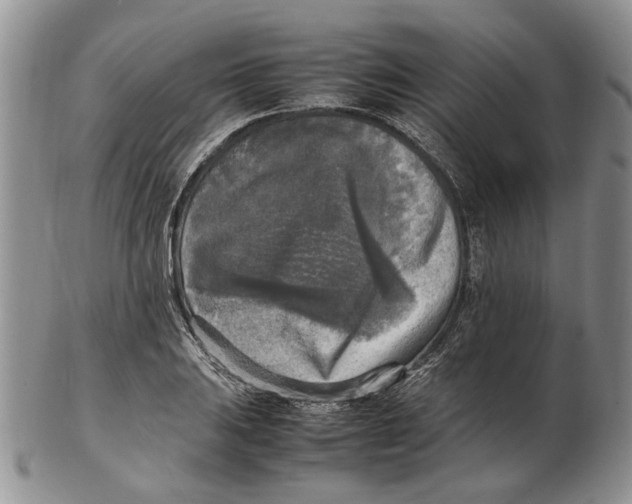 X0000102251031200808221348
