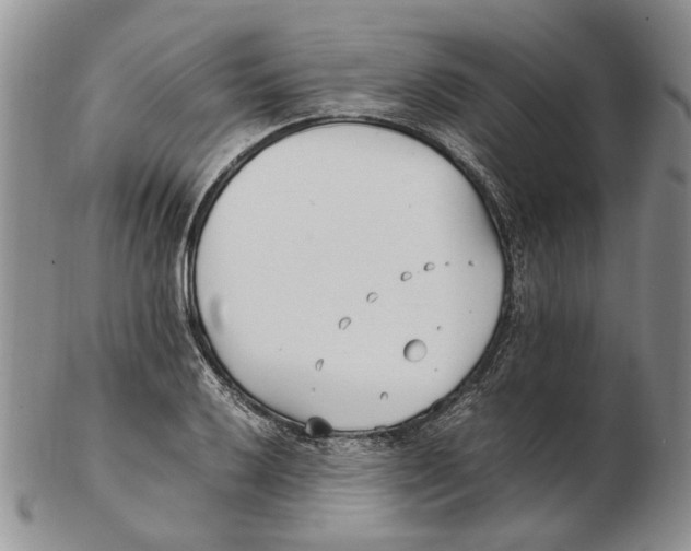 X0000102251032200808221348