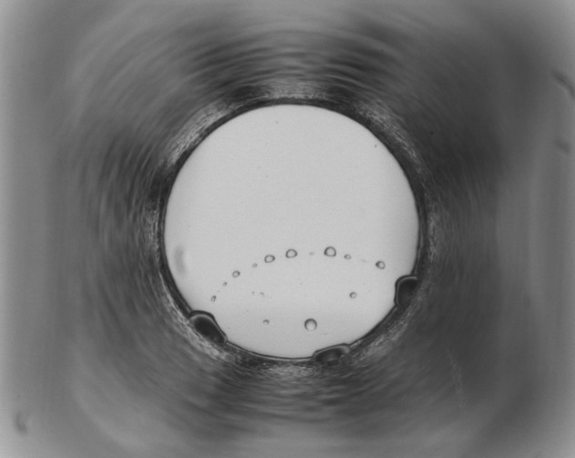X0000102251033200808221348