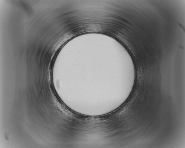 X0000102251034200808221348