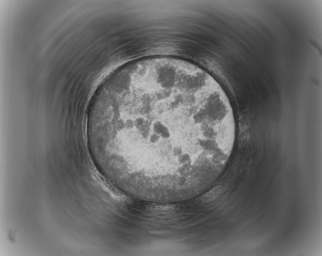 X0000102251035200808221348