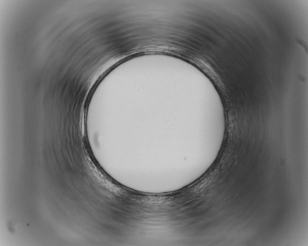 X0000102251036200808221348