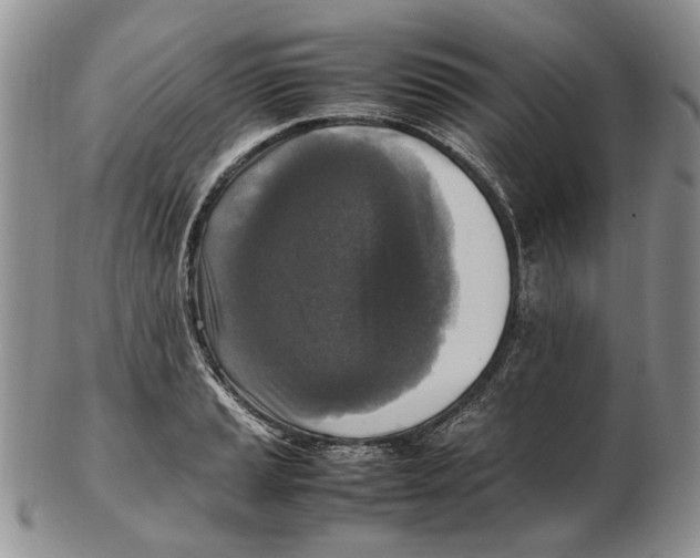 X0000102251037200808221348