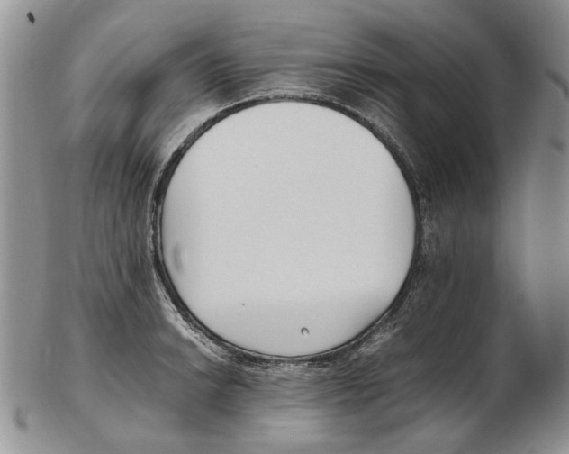 X0000102251038200808221348