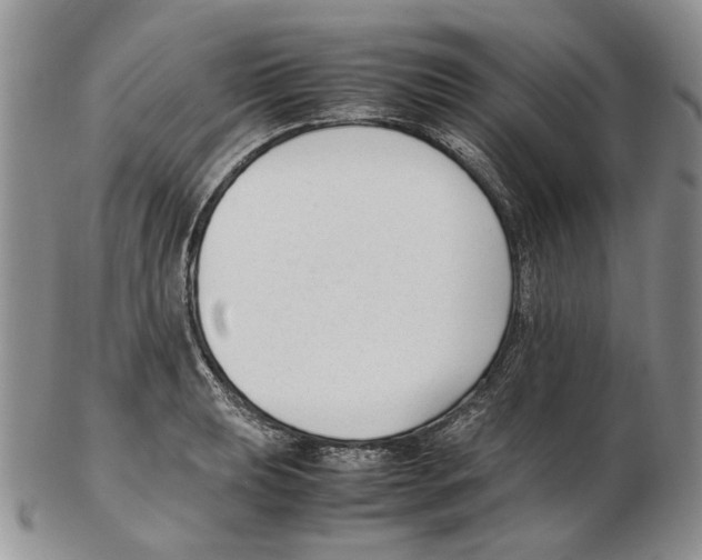 X0000102251039200808221348