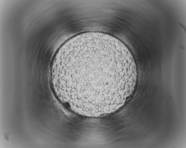 X0000102251040200808221348
