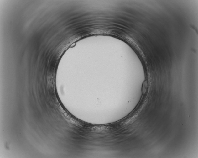 X0000102251041200808221348