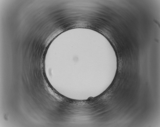 X0000102251042200808221348