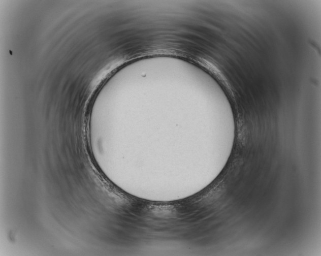 X0000102251043200808221348