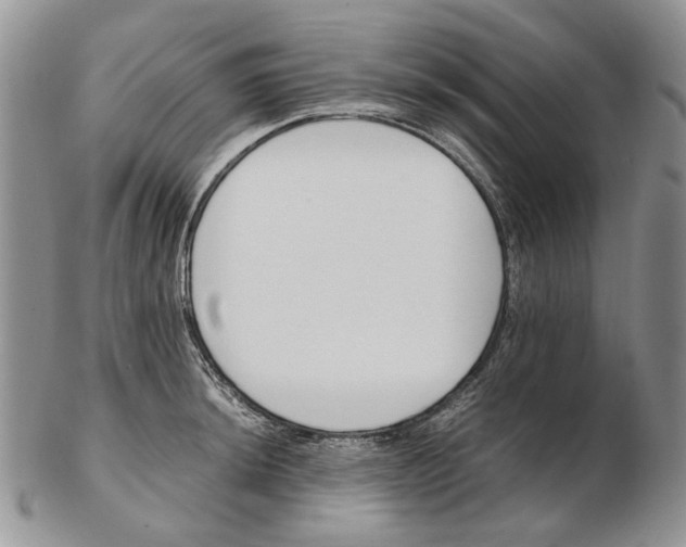 X0000102251044200808221348