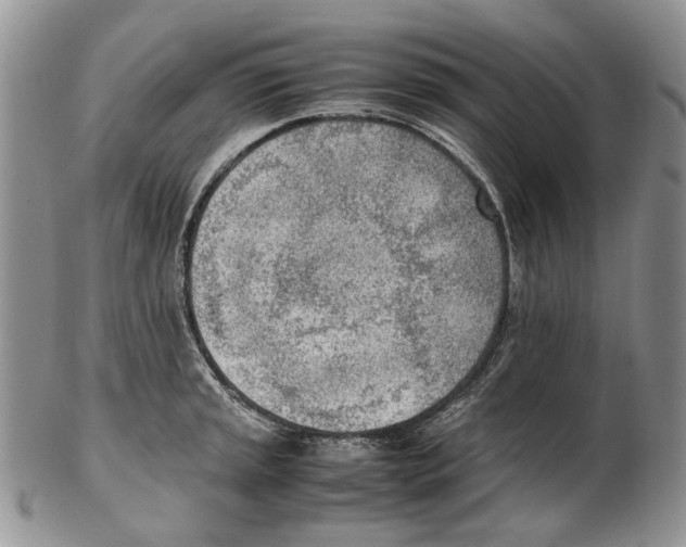 X0000102251045200808221348