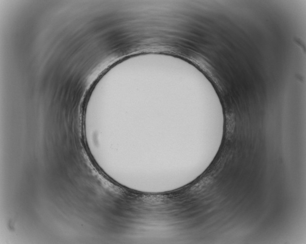 X0000102251046200808221348