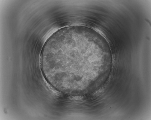 X0000102251047200808221348