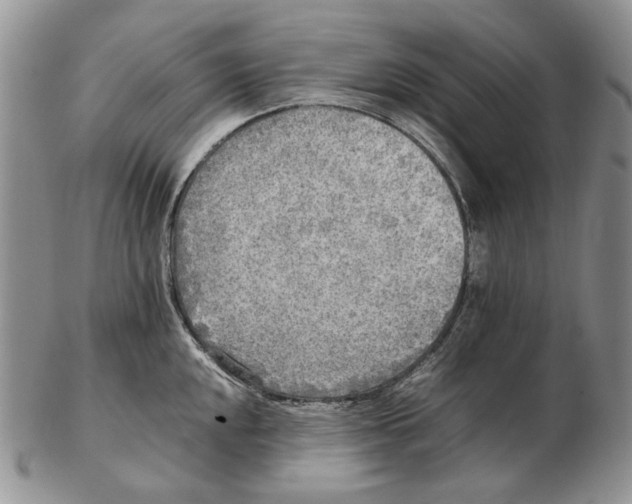 X0000102251048200808221348