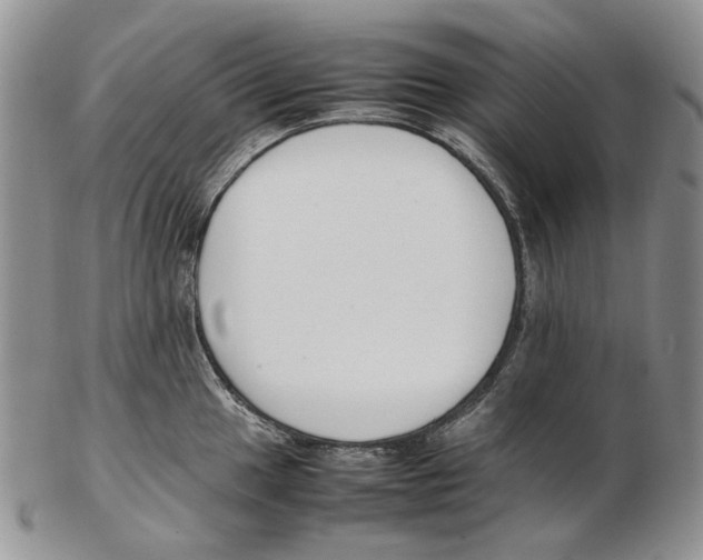 X0000102251049200808221348