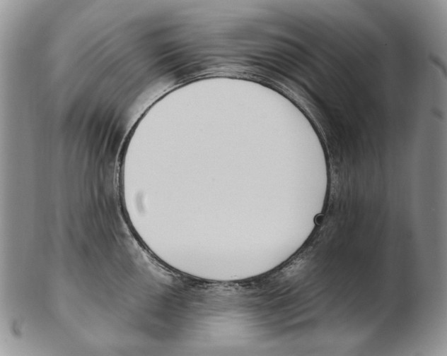 X0000102251050200808221348