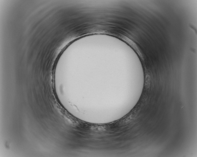X0000102251051200808221348