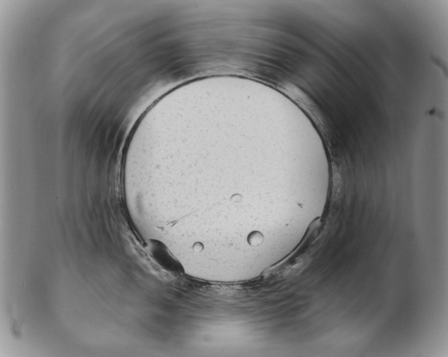 X0000102251052200808221348
