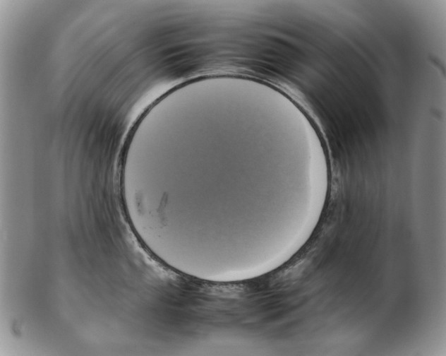X0000102251053200808221348