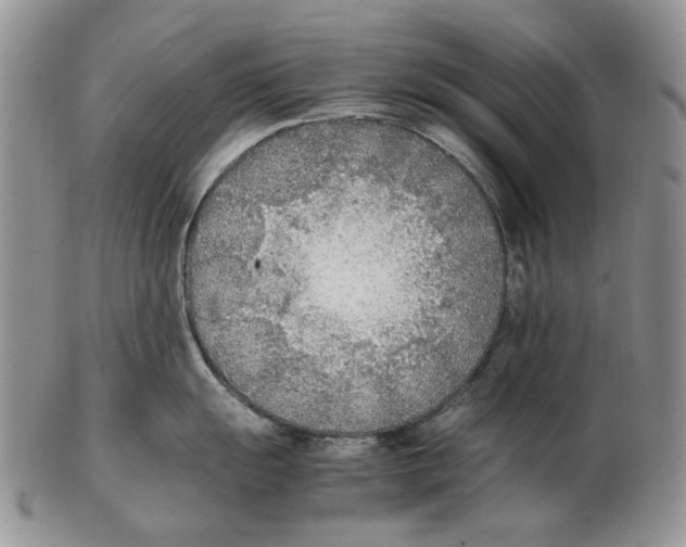 X0000102251055200808221348