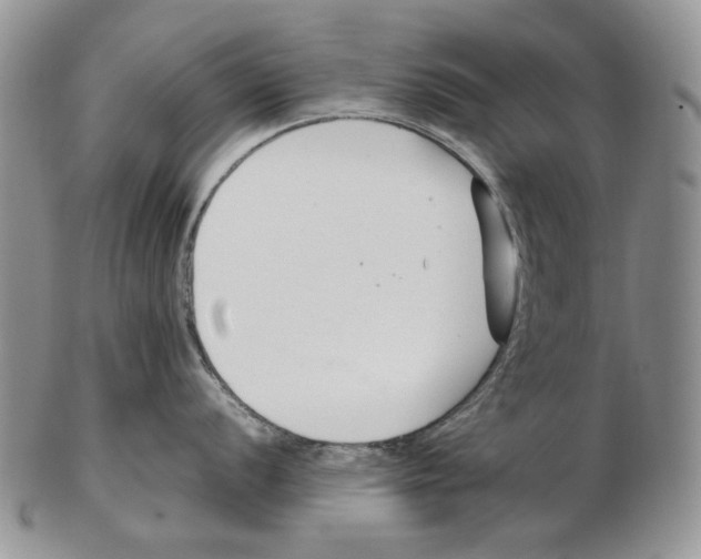 X0000102251056200808221348