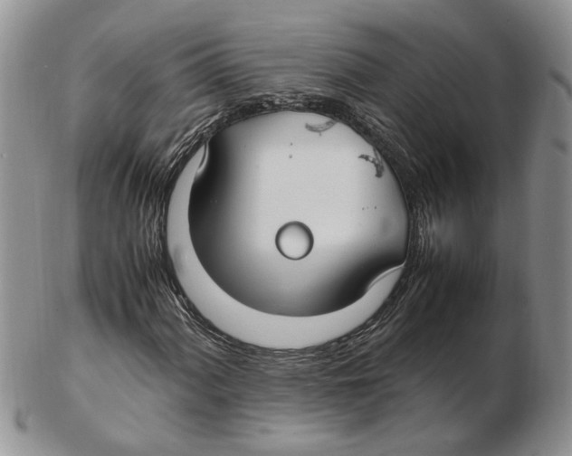 X0000102251060200808221348