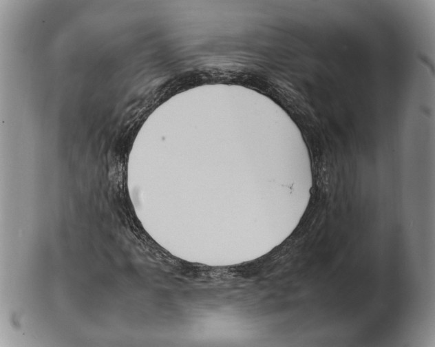 X0000102251061200808221347