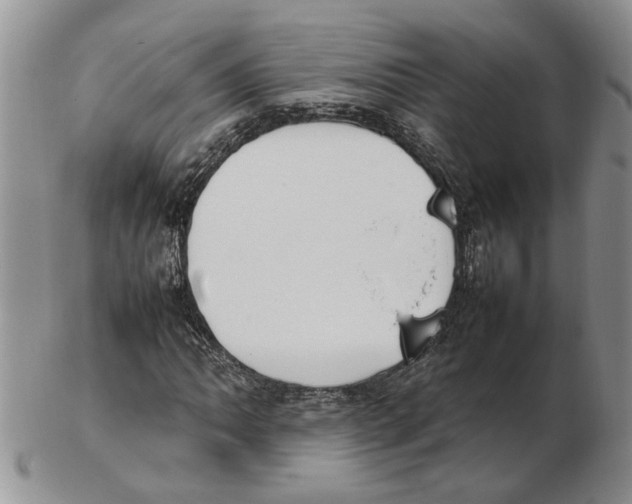 X0000102251062200808221347