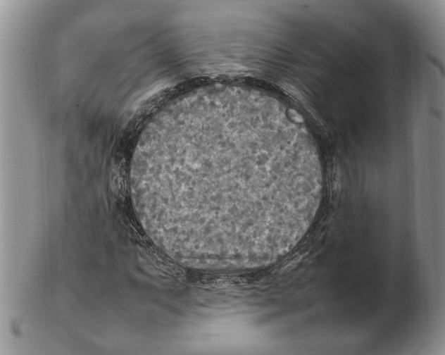 X0000102251063200808221347
