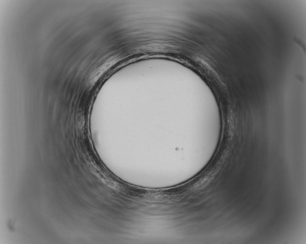 X0000102251065200808221347