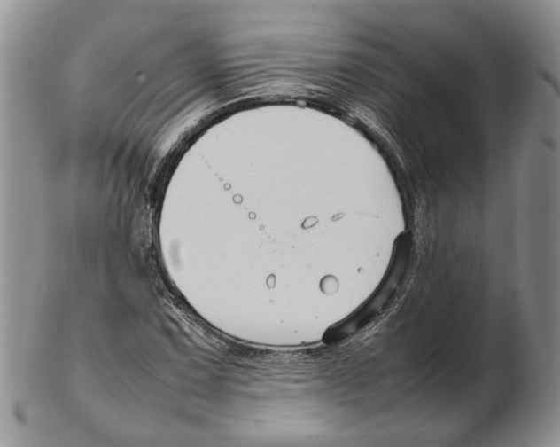 X0000102251067200808221347