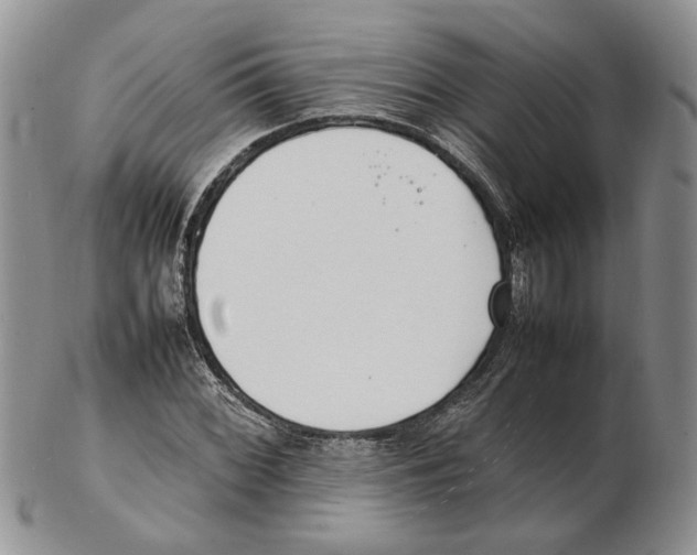 X0000102251068200808221347