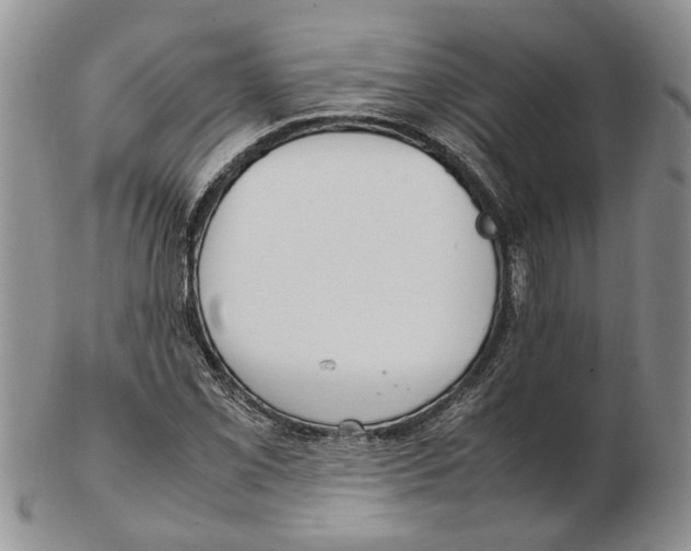 X0000102251069200808221347