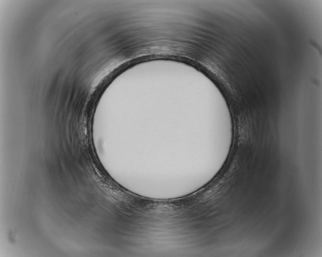 X0000102251070200808221347