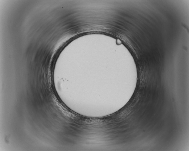 X0000102251072200808221347