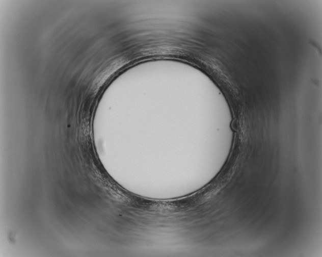 X0000102251073200808221347