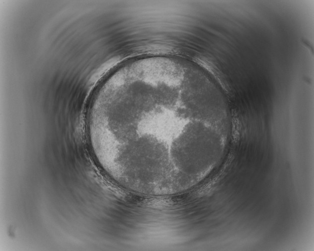 X0000102251074200808221347