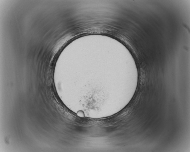 X0000102251075200808221347