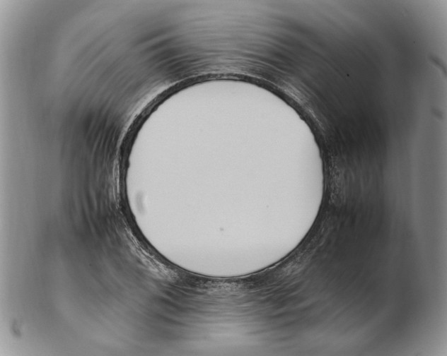 X0000102251076200808221347