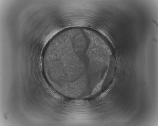 X0000102251077200808221347