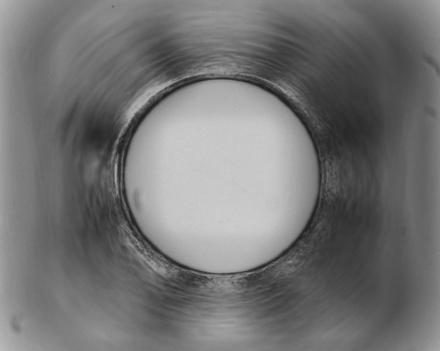 X0000102251078200808221347