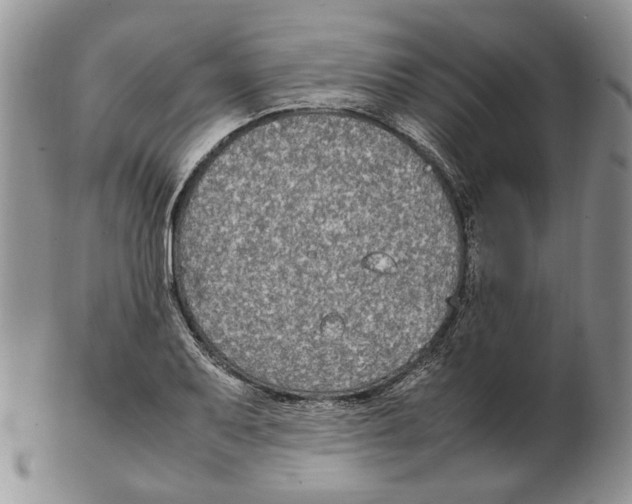 X0000102251079200808221347