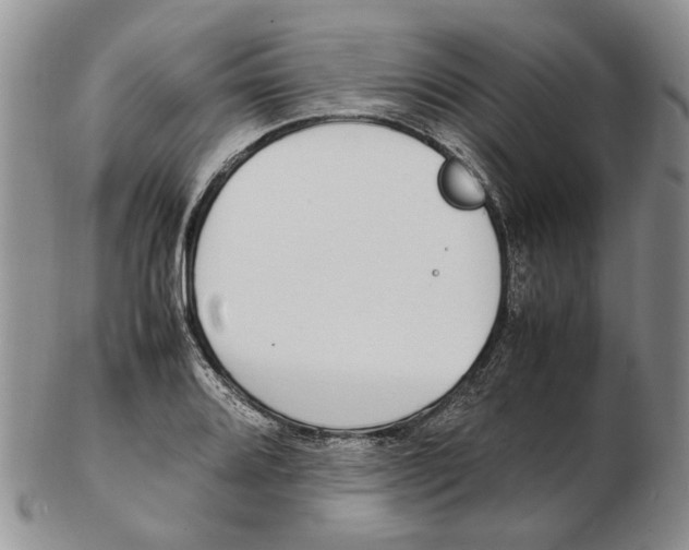 X0000102251080200808221347