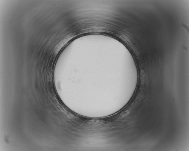 X0000102251081200808221347